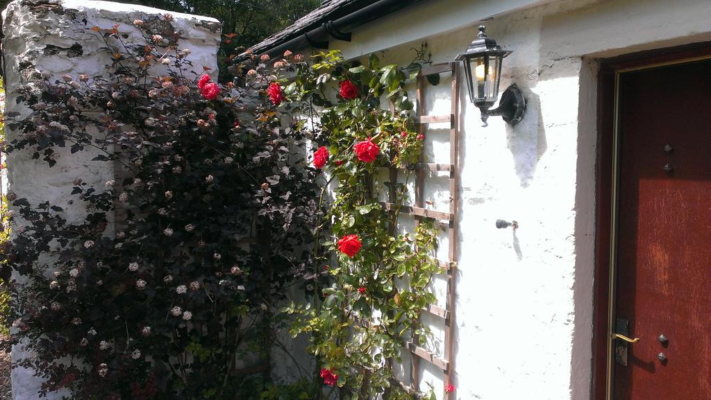 Whitestone Cottage Turnberry Room photo
